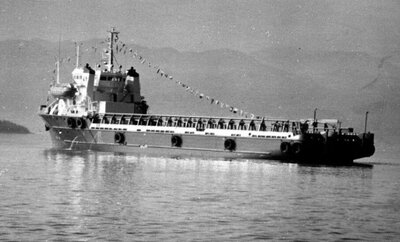 Yno 162 Stad Troll